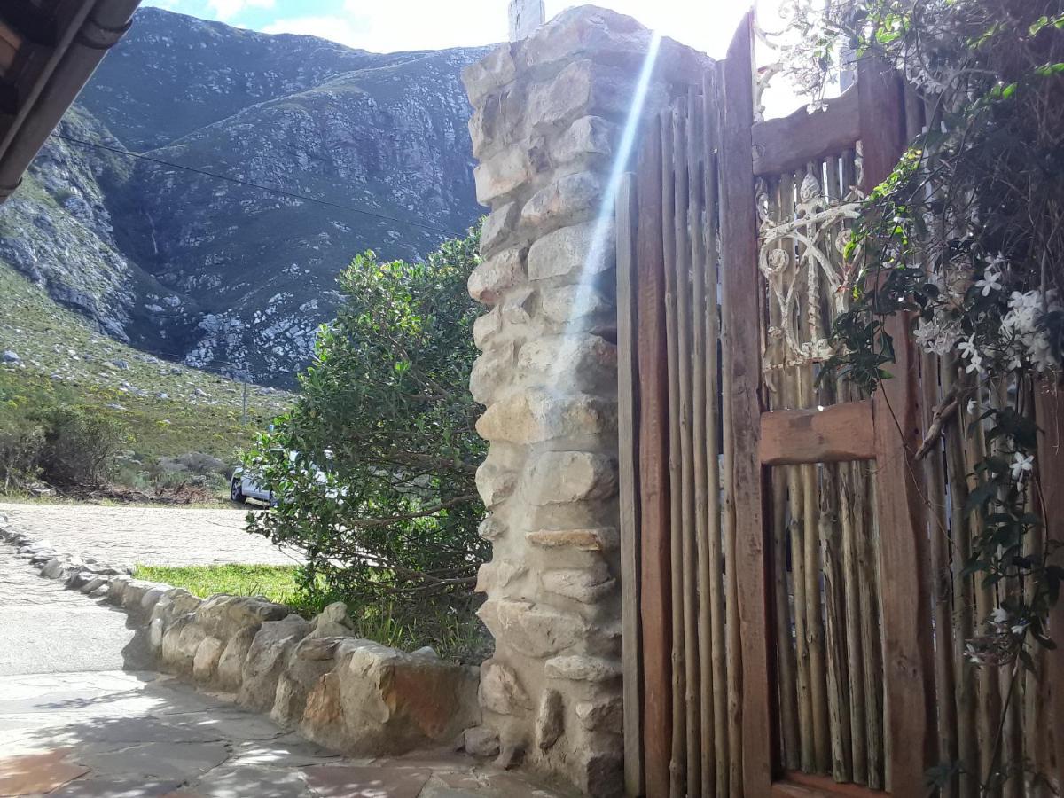 The Trailhouse Hotell Bettyʼs Bay Exteriör bild